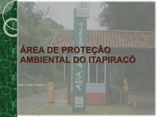 ÁREA DE PROTEÇÃO
AMBIENTAL DO ITAPIRACÓ
VIVIANE
 