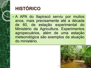 HISTÓRICO
 A APA do Itapiracó serviu por muitos
anos, mais precisamente até a década
de 60, de estação experimental do
Ministério da Agricultura. Experimentos
agropecuários, além de uma estação
meteorológica são exemplos da atuação
do ministério.
VIVIANE
 