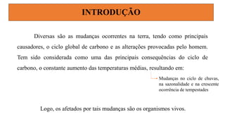 INTRODUÇÃO
Diversas são as mudanças ocorrentes na terra, tendo como principais
causadores, o ciclo global de carbono e as alterações provocadas pelo homem.
Tem sido considerada como uma das principais consequências do ciclo de
carbono, o constante aumento das temperaturas médias, resultando em:
Mudanças no ciclo de chuvas,
na sazonalidade e na crescente
ocorrência de tempestades
Logo, os afetados por tais mudanças são os organismos vivos.
 