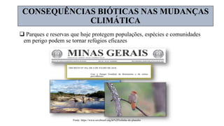  Parques e reservas que hoje protegem populações, espécies e comunidades
em perigo podem se tornar refúgios eficazes
Fonte: https://www.savebrasil.org.br%2Frolinha-do-planalto
CONSEQUÊNCIAS BIÓTICAS NAS MUDANÇAS
CLIMÁTICA
 