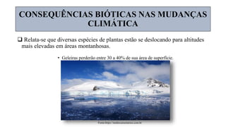  Relata-se que diversas espécies de plantas estão se deslocando para altitudes
mais elevadas em áreas montanhosas.
• Geleiras perderão entre 30 a 40% de sua área de superfície.
Fonte:https://netdocumentarios.com.br
CONSEQUÊNCIAS BIÓTICAS NAS MUDANÇAS
CLIMÁTICA
 