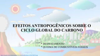 EFEITOS ANTROPOGÊNICOS SOBRE O
CICLO GLOBAL DO CARBONO
* DESMATAMENTO
* QUEIMA DE COMBUSTÍVEIS FÓSSEIS
https://concepto.de/wp-content/uploads/2018/08/ciclo-del-carbono-e1535557402715.jpg
 