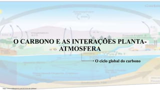 O CARBONO E AS INTERAÇÕES PLANTA-
ATMOSFERA
O ciclo global do carbono
https://www.todamateria.com.br/ciclo-do-carbono/
 