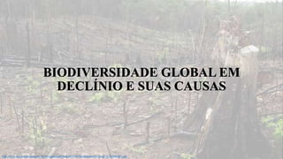 BIODIVERSIDADE GLOBAL EM
DECLÍNIO E SUAS CAUSAS
http://www.pos.entomologia.ufv.br/wp-content/uploads/2015/09/Desmatamento-Amaz%C3%B4nia-I.jpg
 