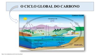 O CICLO GLOBAL DO CARBONO
https://www.todamateria.com.br/ciclo-do-carbono/
 