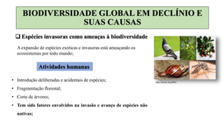 http://twixar.me/gPKn
 Espécies invasoras como ameaças à biodiversidade
A expansão de espécies exóticas e invasoras está ameaçando os
ecossistemas por todo mundo;
Atividades humanas
• Introdução deliberadas e acidentais de espécies;
• Fragmentação florestal;
• Corte de árvores;
• Tem sido fatores envolvidos na invasão e avanço de espécies não
nativas;
BIODIVERSIDADE GLOBAL EM DECLÍNIO E
SUAS CAUSAS
 