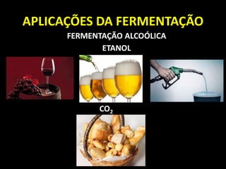 APLICAÇÕES DA FERMENTAÇÃO
FERMENTAÇÃO ALCOÓLICA
ETANOL
CO2
 