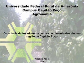 O controle da fusariose na cultura de pimenta-do-reino na
região de Capitão Poço
Capitão Poço
2014
Universidade Federal Rural da Amazônia
Campus Capitão Poço
Agronomia
 