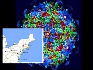 COXSACKIEVÍRUS
    • Foram isolados pela primeira vez em 1948, de pacientes com
      uma doença parecida com a poliomielite.
    • Essa denominação é derivada do local onde ocorreu o surto.

                                           • São membros   do sub-grupo
    •
                                           enterovírus.
                                           • São patogênicos para o
                                           homem.




http://www.city-data.com/city/Coxsackie-
New-York.html
 