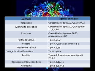 COXSACKIEVÍRUS
                Doenças                        Agentes Etiológicos
               Herpangina           Coxsackievírus tipos A 2,4,5,6,8,10,22
         Meningite asséptica        Coxsackievírus tipos A 2,4,7,9; tipos B
                                    1,2,3,4,5,6
               Exantema             Coxsackievírus tipos A 4,16,19;
                                    ocasionalmente B 5
            Resfriado Comun         Tipos A 21,24
                Hepatite            Tipos A 4,9; ocasionalmente B 5
          Pneumonite Infantil       Tipos A 9,16
Doença Febril indiferenciada        Todos tipos A
                Paralisia           Tipos A 7,9; ocasionalmente tipos B
                                    2,3,4,5
     Doenças das mãos, pés e boca   Tipos A 5,10, 16
               Pleurodinia          Tipos B 1,2,3,4,5
 