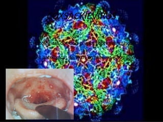COXSACKIEVÍRUS
Patologia
•As lesões histológicas dos dois grupos sobres os músculos são
semelhantes.
•As alterações patológicas do vírus no homem e nos animais são
diferentes.




                             http://keiji-
                             hagiwara.blogspot.com/20
                             09_03_01_archive.html
 