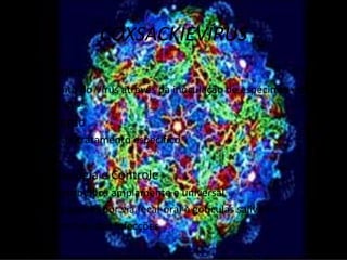 COXSACKIEVÍRUS
Diagnóstico
•Isolamento do Vírus através da inoculação de espécimes em
camudongos.
Tratamento
•Não existe tratamento específico


Epidemiologia e Controle
•Estao distribuidos amplamente e universal
•São propagados por via fecal-oral e gotículas salivares
•Difícil controle das Infecções
 