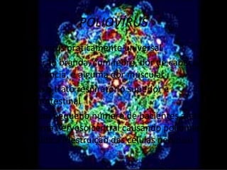 POLIOVÍRUS
• É um vírus praticamente universal
• Infecção branda, com febre, dor de cabeça,
  sonolência, e alguma dor muscular
• Afeta o trato respiratório superior e
  gastrintestinal
• Em um pequeno número de pacientes afeta o
  sistema nervoso central causando poliomielite
  paralítica (destruição das células nervosa)
 
