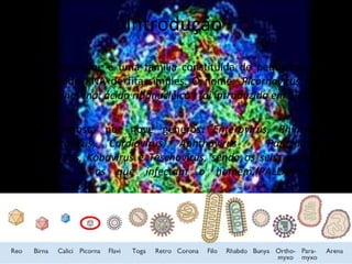 Introdução
• Picornaviridae é uma família constituída de pequenos vírus
  contendo RNA de fita simples. O nome Picornavírus (pico:
  pequeno; rna: ácido ribonucléico ) foi introduzido em 1963;

• É composta por nove gêneros: Enterovirus, Rhinovirus,
  Hepatovirus, Cardiovirus, Aphthovirus , Parechovírus,
  Erbovirus, Kobovirus e Teschovirus, sendo os seis primeiros
  gêneros     os que infectam o homem.(PALLANSCH E
  ROOS,2001).
 