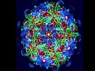 POLIOVIRUS
Diagnóstico
• Isolamento e identificação do vírus, e
  determinação dos níveis de anticorpos
• Teste sorológico necessita de uma elevação
  no nível de anticorpos
 