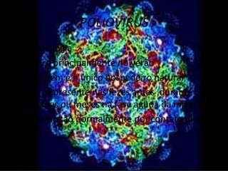 POLIOVIRUS
Epidemiologia
• Ocorre principalmente no verão
• O homem é o único hospedeiro natural
• O vírus presente nas fezes antes ,durante
  semanas ou meses na fase aguda da infecção
• Transmissão normalmente por contato direto
 