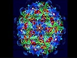 ECHOVIRUS
• Muitos tipos de Echovirus estão associados a
  doenças respiratórias brandas até meningite
  asséptica
• Tamanho cerca de 24-30nm
• São encontrados mais no verão e outono
• Estáveis em pH baixo
• Geralmente termoestáveis
• Habitantes do trato digestivo do homem
 