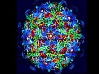 ECHOVIRUS
• Patologia da infecção é desconhecida
• Em casos fatais ocorreram edemas cerebrais
Diagnóstico
• Isolamento do mesmo e detecção do aumento
  de anticorpos
• Características com febre e exantema,surtos
  de meningite asséptica ou epidemia de
  diarréia não bacteriana
 