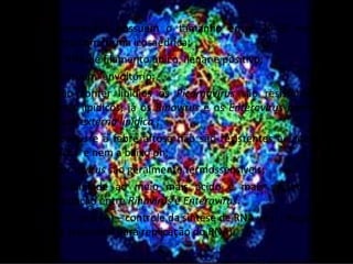• Os Picornavirus possuem o tamanho entre 20-30 nm de
  diâmetro com forma icosaédrica;
• Possui RNA de filamento único, lienar e positivo;
• Não possuem envoltório;
• Por não conter lipídios os Picornavírus são resistentes a
  solventes lipídicos, já os Rinovirus e os Enterovirus possuem
  envoltura externa lipídica ;
• O Rinovirus e a febre aftosa não são resistentes a agentes
  orgânicos e nem a baixo ph;
• Os Picornavírus são geralmente termossensíveis;
• A sensibilidade ao meio mais ácido é mais seguro na
  diferenciação entre Rinovirus e Enterovirus.
• região 3’: poli (A) – controle da sintese de RNA viral ; Região
  5’: VPg (essencial para replicação do RNA).
 