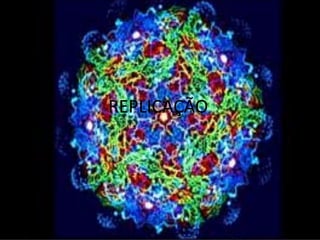 REPLICAÇÃO
 