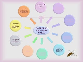 FACULTAD
                              DE
                                           FACULTAD
                           INGENIERI      DE CIENCIAS
                               A           AGRARIAS
             FACULTAD
            DE MEDICINA
            VETERINARIA




                                                           FACULTAD
                                                               DE
                                                           EDUCACION
FACULTAD
   DE
MEDICINA
 HUMANA
                           CARRERAS
                           PROFESIO
                            NALES
                                                         FACULTAD
                                                        DE CIENCIAS
                                                        DE LA SALUD
FACULTAD
   DE
ZOOTECNIA




                                           FACULTAD
                                           DERECHO Y
                                            CIENCIAS
                    CECA
                                           POLITICAS
                             FACULTAD
                            DE CIENCIAS
                             SOCIALES
 