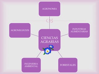 AGRONOMIA




                        
                                         INDUSTRIAS
AGRONEGOCIOS
                                        ALIMENTARIAS


                      CIENCIAS
                      AGRARIAS




         INGENIERIA
         AMBIENTAL
                                  FORESTALES
 