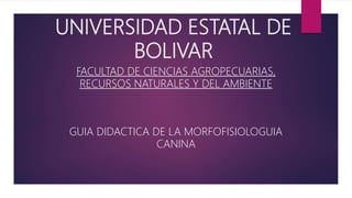 UNIVERSIDAD ESTATAL DE
BOLIVAR
FACULTAD DE CIENCIAS AGROPECUARIAS,
RECURSOS NATURALES Y DEL AMBIENTE
GUIA DIDACTICA DE LA MORFOFISIOLOGUIA
CANINA
 