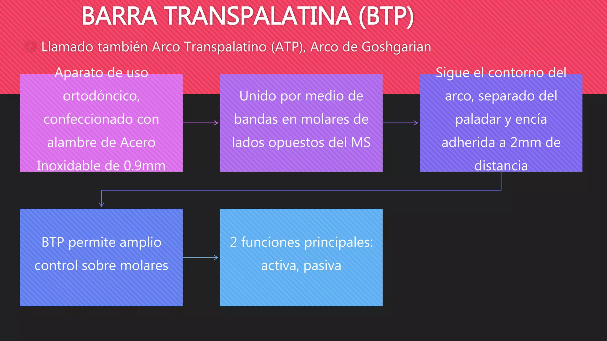 Arco Transpalatino, Bihelix, Ansa Distal | PPTX