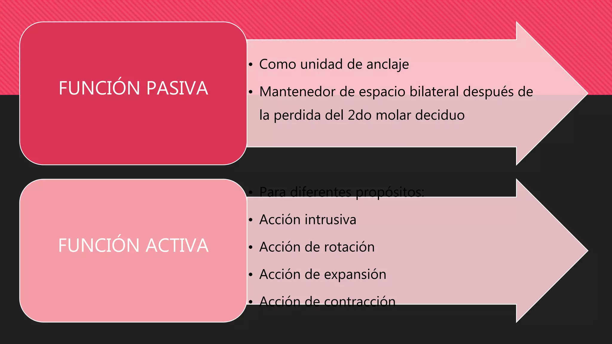 Arco Transpalatino, Bihelix, Ansa Distal | PPTX