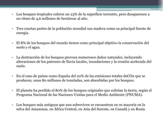 • Los bosques tropicales cubren un 23% de la superficie terrestre, pero desaparecen a 
un ritmo de 4,6 millones de hectáreas al año. 
• Tres cuartas partes de la población mundial usa madera como su principal fuente de 
energía. 
• El 8% de los bosques del mundo tienen como principal objetivo la conservación del 
suelo y el agua. 
• La destrucción de los bosques provoca numerosos daños naturales, incluyendo 
alteraciones de los patrones de lluvia locales, inundaciones y la erosión acelerada del 
suelo. 
• En el caso de países como España del 20% de las emisiones totales deCO2 que se 
producen, unos 80 millones de toneladas, son absorbidas por los bosques. 
• El planeta ha perdido el 80% de los bosques originales que cubrían la tierra, según el 
Programa Nacional de las Naciones Unidas para el Medio Ambiente (PNUMA). 
• Los bosques más antiguos que aun sobreviven se encuentran en su mayoría en la 
selva del Amazonas, en África Central, en Asia del Sureste, en Canadá y en Rusia. 
