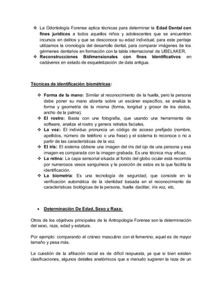  La Odontología Forense aplica técnicas para determinar la Edad Dental con
fines jurídicos a todos aquellos niños y adolescentes que se encuentran
incursos en delitos y que se desconoce su edad individual, para este peritaje
utilizamos la cronología del desarrollo dental, para comparar imágenes de los
gérmenes dentarios en formación con la tabla internacional de UBELAKER.
 Reconstrucciones Bidimensionales con fines Identificativos en
cadáveres en estado de esqueletización de data antigua.
Técnicas de identificación biométricas:
 Forma de la mano: Similar al reconocimiento de la huella, pero la persona
debe poner su mano abierta sobre un escáner específico, se analiza la
forma y geometría de la misma (forma, longitud y grosor de los dedos,
ancho de la palma).
 El rostro: Basta con una fotografía, que usando una herramienta de
software, analiza el rostro y genera retratos faciales.
 La voz: El individuo pronuncia un código de acceso prefijado (nombre,
apellidos, número de teléfono o una frase) y el sistema lo reconoce o no a
partir de las características de la voz.
 El iris: El sistema obtiene una imagen del iris del ojo de una persona y esa
imagen es comparada con la imagen grabada. Es una técnica muy eficaz.
 La retina: La capa sensorial situada al fondo del globo ocular está recorrida
por numerosos vasos sanguíneos y la posición de estos es la que facilita la
identificación.
 La biometría: Es una tecnología de seguridad, que consiste en la
verificación automática de la identidad basada en el reconocimiento de
características biológicas de la persona, huella dactilar, iris voz, etc.
 Determinación De Edad, Sexo y Raza:
Otros de los objetivos principales de la Antropología Forense son la determinación
del sexo, raza, edad y estatura.
Por ejemplo: comparando el cráneo masculino con el femenino, aquel es de mayor
tamaño y pesa más.
La cuestión de la afiliación racial es de difícil respuesta, ya que si bien existen
clasificaciones, algunos detalles anatómicos que a menudo sugieren la raza de un
 