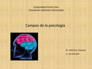 Universidad Fermín toro
Escuela de relaciones industriales

Campos de la psicología

M. Valentina Cassenti

C.I 24.145.819

 