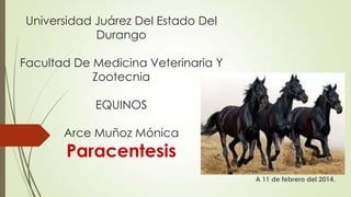 Universidad Juárez Del Estado Del
Durango
Facultad De Medicina Veterinaria Y
Zootecnia
EQUINOS
Arce Muñoz Mónica

Paracentesis

A 11 de febrero del 2014.

 