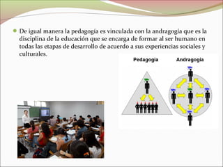  De igual manera la pedagogía es vinculada con la andragogía que es la

disciplina de la educación que se encarga de formar al ser humano en
todas las etapas de desarrollo de acuerdo a sus experiencias sociales y
culturales.

 
