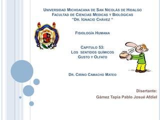 UNIVERSIDAD MICHOACANA DE SAN NICOLÁS DE HIDALGO
    FACULTAD DE CIENCIAS MEDICAS Y BIOLÓGICAS
              “DR. IGNACIO CHÁVEZ “


               FISIOLOGÍA HUMANA


                  CAPITULO 53:
             LOS SENTIDOS QUÍMICOS
                GUSTO Y OLFATO



            DR. CIRINO CAMACHO MATEO



                                             Disertante:
                         Gámez Tapia Pablo Josué Afdiel
 