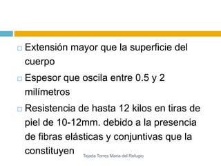  Extensión mayor que la superficie del 
cuerpo 
 Espesor que oscila entre 0.5 y 2 
milímetros 
 Resistencia de hasta 12 kilos en tiras de 
piel de 10-12mm. debido a la presencia 
de fibras elásticas y conjuntivas que la 
constituyen 
Tejada Torres Maria del Refugio 
 