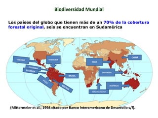 Biodiversidad Mundial
(Mittermeier et al., 1998 citado por Banco Interamericano de Desarrollo s/f).
VENEZUELA
BRASIL
INDONESIA
CHINA
AUSTRALIA
INDIA
MADAGASCAR
Los países del globo que tienen más de un 70% de la cobertura
forestal original, seis se encuentran en Sudamérica
 