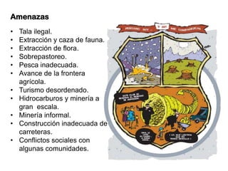 Amenazas
• Tala ilegal.
• Extracción y caza de fauna.
• Extracción de flora.
• Sobrepastoreo.
• Pesca inadecuada.
• Avance de la frontera
agrícola.
• Turismo desordenado.
• Hidrocarburos y minería a
gran escala.
• Minería informal.
• Construcción inadecuada de
carreteras.
• Conflictos sociales con
algunas comunidades.
 