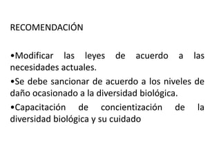 RECOMENDACIÓN
•Modificar las leyes de acuerdo a las
necesidades actuales.
•Se debe sancionar de acuerdo a los niveles de
daño ocasionado a la diversidad biológica.
•Capacitación de concientización de la
diversidad biológica y su cuidado
 