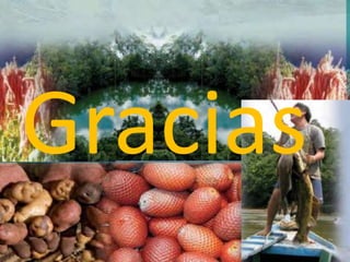 Gracias
 
