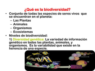 ¿Qué es la biodiversidad?
• Conjunto de todas las especies de seres vivos que
se encuentran en el planeta:
– Las Plantas
– Animales
– Organismos
– Ecosistemas
• Niveles de biodiversidad:
1) Diversidad genética: La variedad de información
genético en todas las plantas, animales, y
organismos. Es la variabilidad que existe en la
herencia de una especie.
 