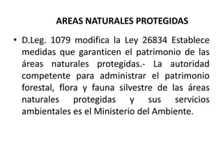 AREAS NATURALES PROTEGIDAS
• D.Leg. 1079 modifica la Ley 26834 Establece
medidas que garanticen el patrimonio de las
áreas naturales protegidas.- La autoridad
competente para administrar el patrimonio
forestal, flora y fauna silvestre de las áreas
naturales protegidas y sus servicios
ambientales es el Ministerio del Ambiente.
 