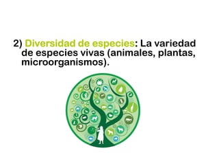 2) Diversidad de especies: La variedad
de especies vivas (animales, plantas,
microorganismos).
 