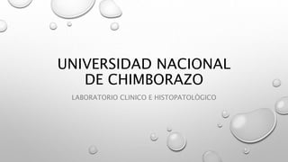 UNIVERSIDAD NACIONAL
DE CHIMBORAZO
LABORATORIO CLINICO E HISTOPATOLÒGICO
 