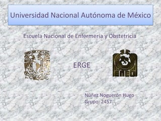 Universidad Nacional Autónoma de México

   Escuela Nacional de Enfermería y Obstetricia



                      ERGE


                          Núñez Noguerón Hugo
                          Grupo: 2457
 