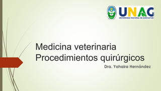 Medicina veterinaria
Procedimientos quirúrgicos
Dra. Yahaira Hernández
 