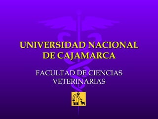 UNIVERSIDAD NACIONAL DE CAJAMARCA FACULTAD DE CIENCIAS VETERINARIAS 
