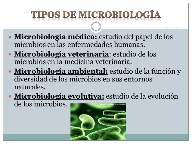 Microbiologia
