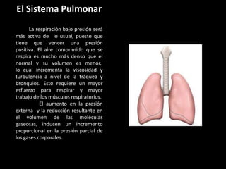 El Sistema Pulmonar
La respiración bajo presión será
más activa de lo usual, puesto que
tiene que vencer una presión
positiva. El aire comprimido que se
respira es mucho más denso que el
normal y su volumen es menor,
lo cual incrementa la viscosidad y
turbulencia a nivel de la tráquea y
bronquios. Esto requiere un mayor
esfuerzo para respirar y mayor
trabajo de los músculos respiratorios.
El aumento en la presión
externa y la reducción resultante en
el volumen de las moléculas
gaseosas, inducen un incremento
proporcional en la presión parcial de
los gases corporales.
 