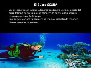 El Buceo SCUBA
• Los buceadores con tanque autónomo pueden mantenerse debajo del
agua debido a que respiran aire comprimido que se encuentra a la
misma presión que la del agua.
• Para que esto ocurra, se requiere un equipo especializado conocido
como escafandra autónoma.
 